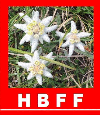 hbff