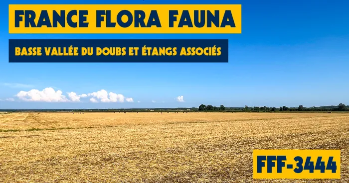 FFF-3444 - Basse vallée du Doubs et étangs associés