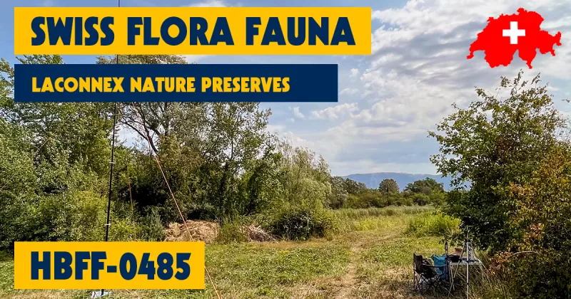HBFF-0485 - Laconnex Nature Preserves