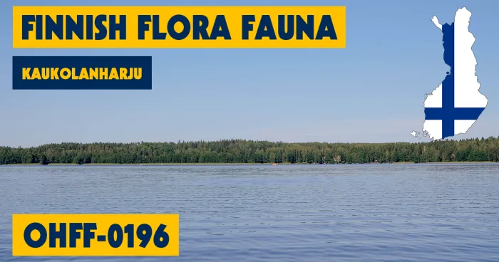 OHFF-0196 - Kaukolanharju