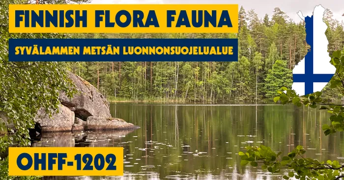 OHFF-1202 - Syvälammen Metsän Luonnonsuojelualue
