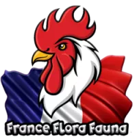 France Flora & Fauna